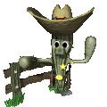 cactus_sheriff_md_clr