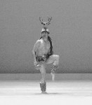 Yaqui Deer Dancer Ballet Folklorio Mexico
