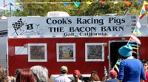 Cook's Racing Pigs