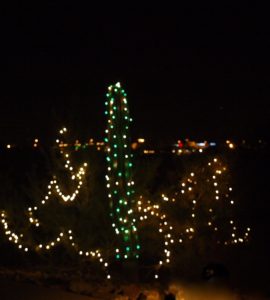 Arizona Christmas Cactus by Jane St Clair