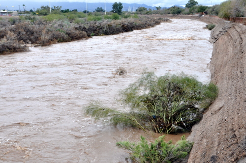 1 Rillito River in Tucson with tree being washed away