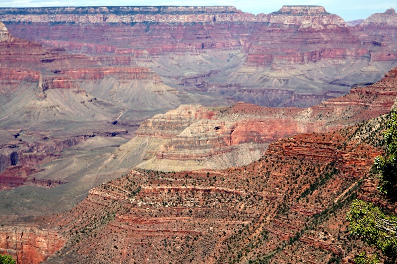 Beautiful Grand Canyon by Jane St. Clair