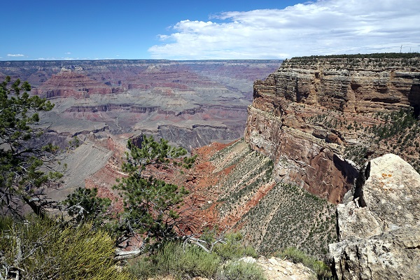 Grand Canyon Majesty by Jane St. Clair