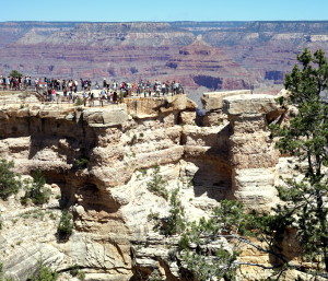 Grand Canyon Visitors  by Jane St. Clair