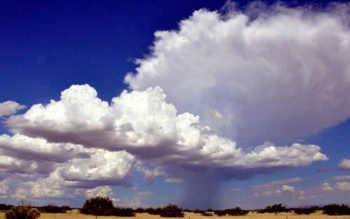 Thunderhead Cloud in landscape by Jane St. Clairlandscape-in-arizona